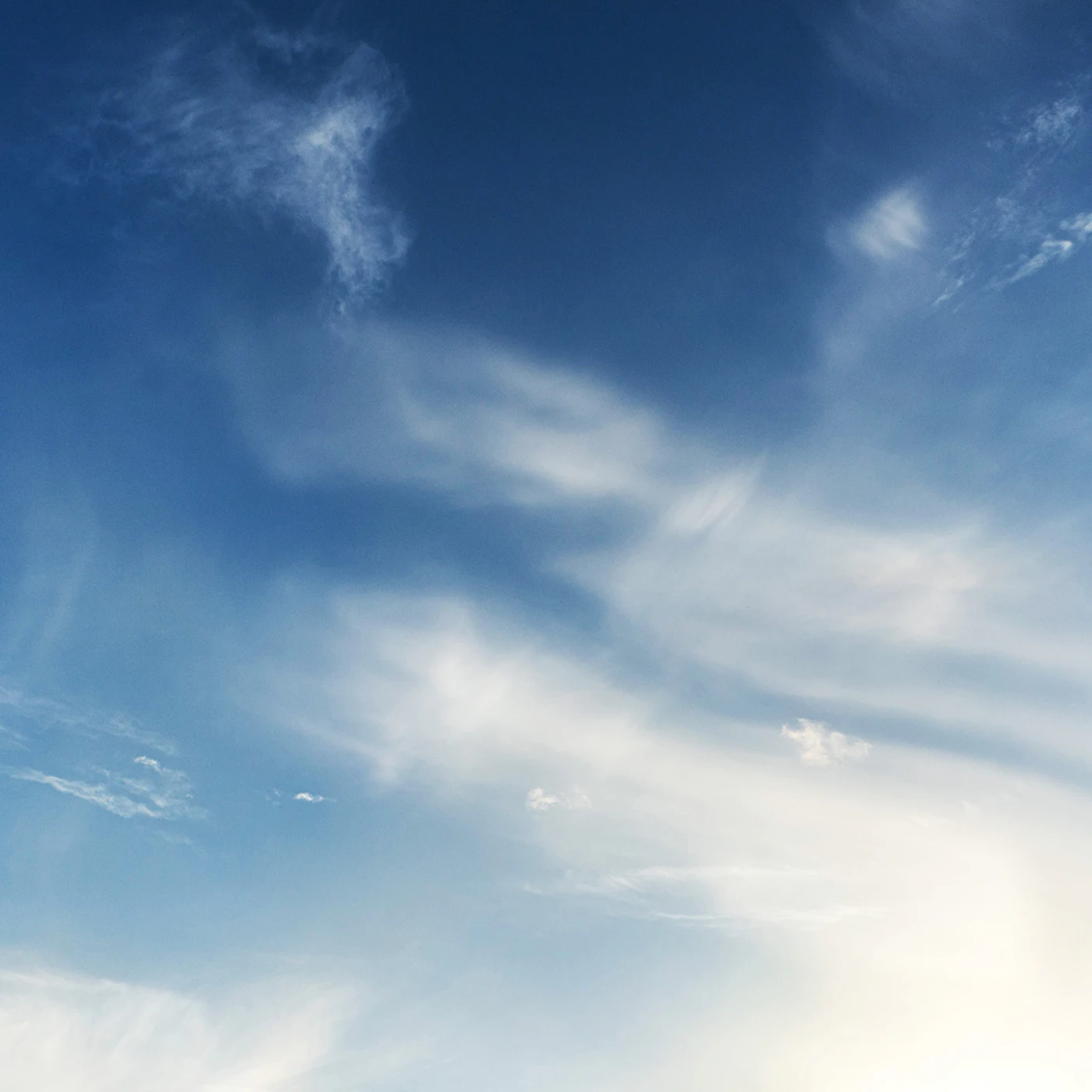 Website Banner Bekro2